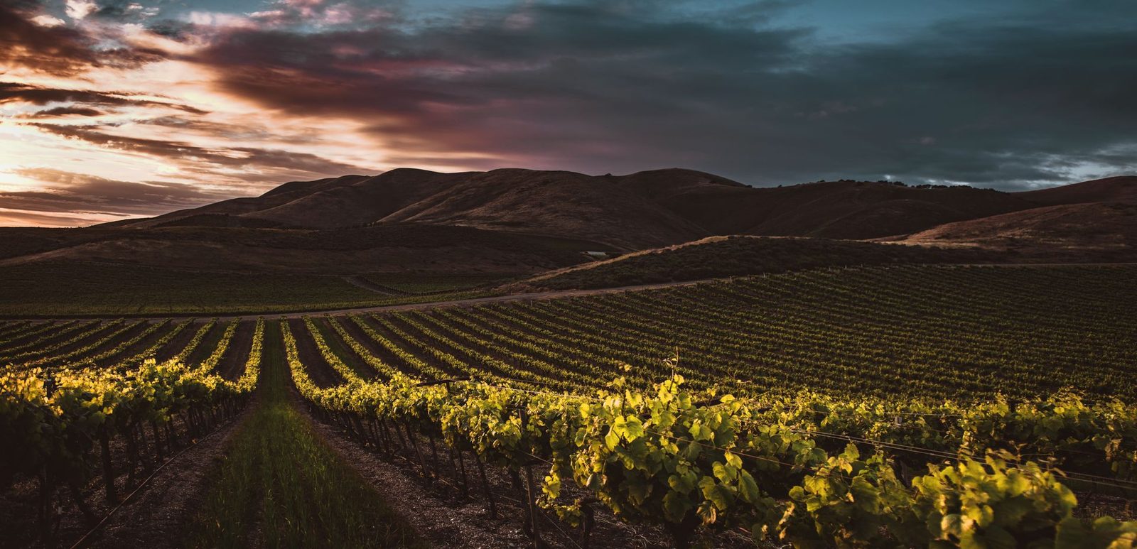 Napa Valley