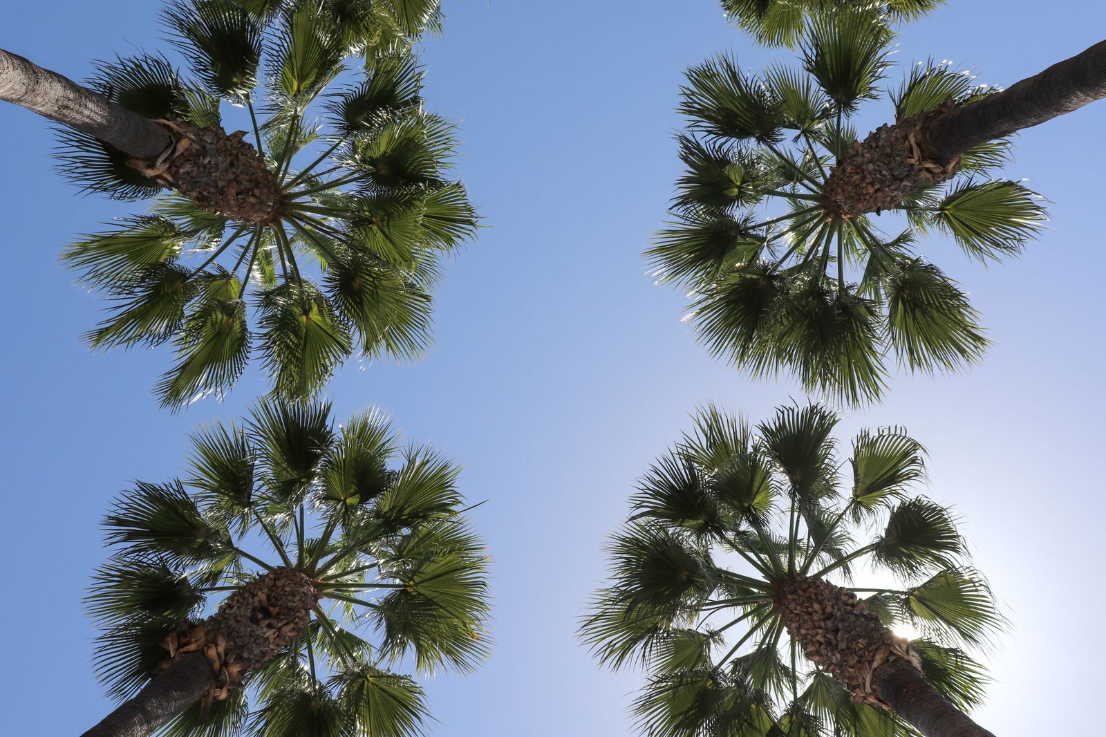 Palm Springs