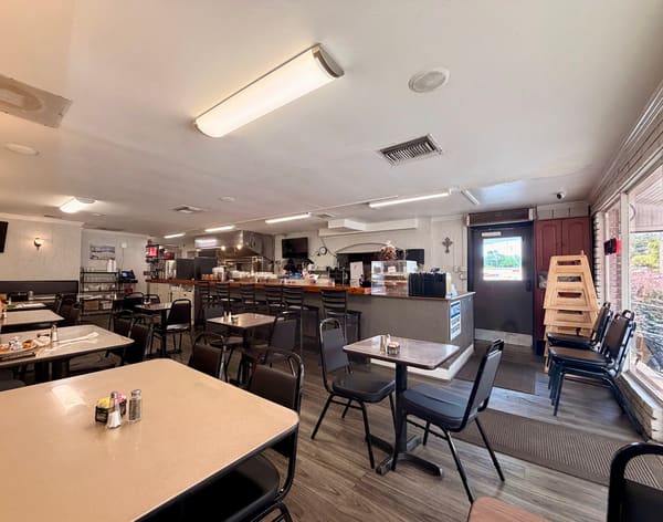 The Olive Branch Mediterranean Cuisine