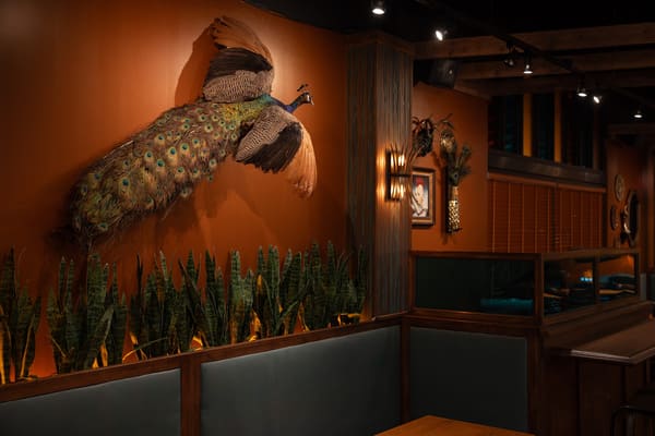 Soul Gastrolounge