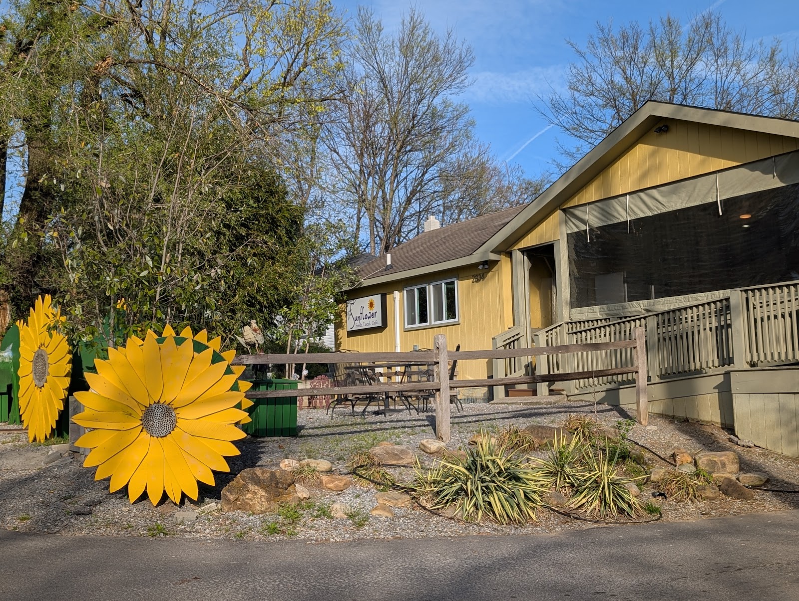 Sunflower Cafe