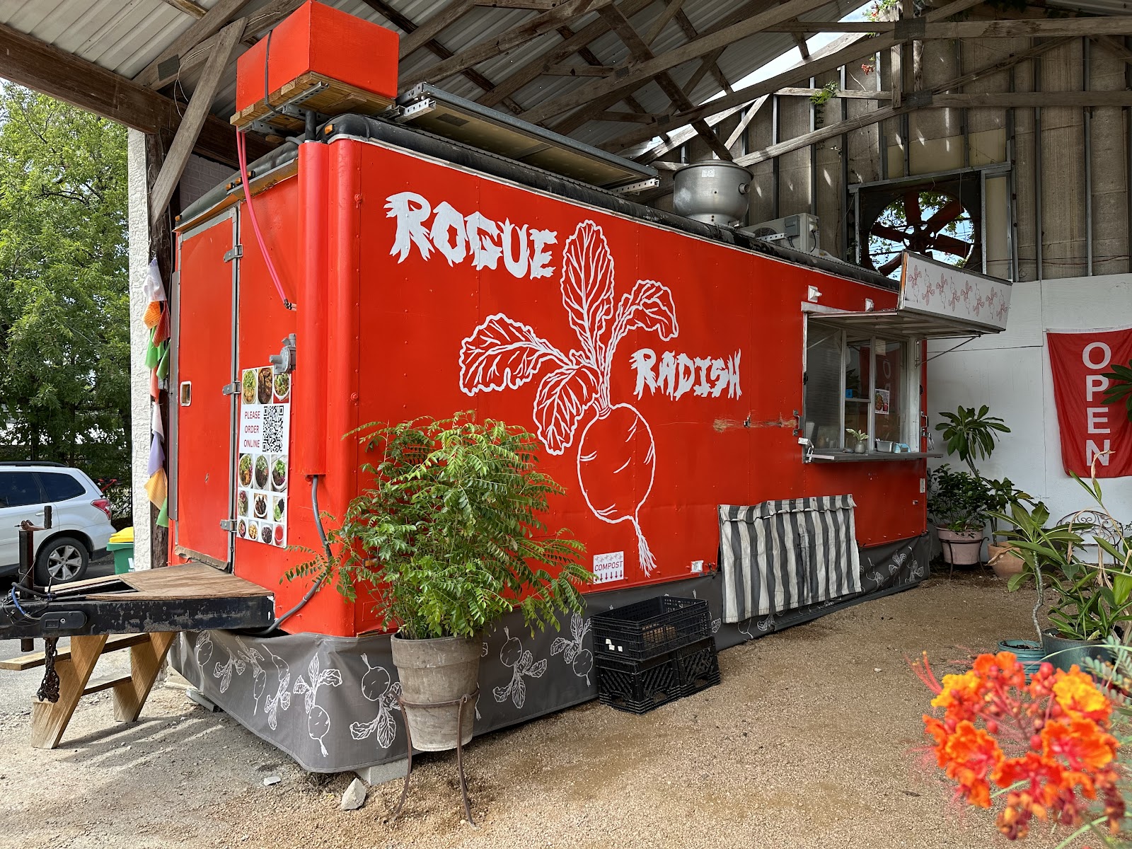 Rogue Radish
