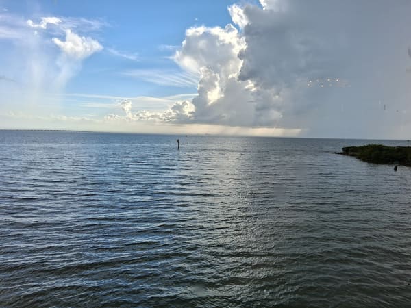 Rusty Pelican Tampa