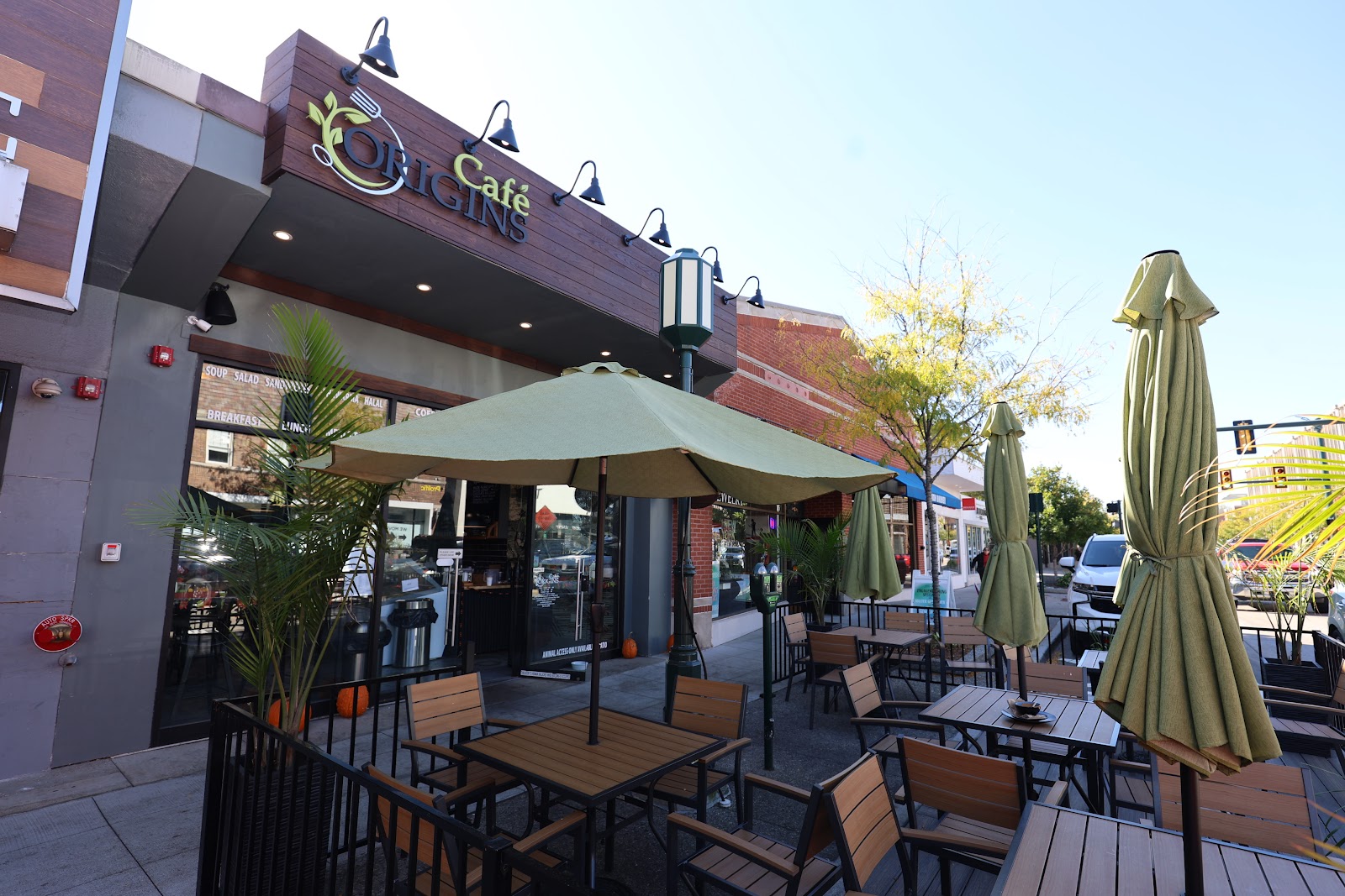 Cafe Origins
