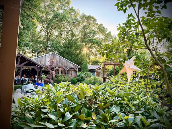 Tree House Tavern