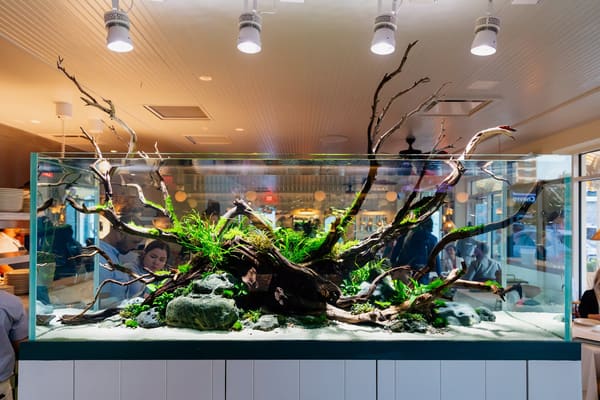 Clark’s Oyster Bar - Houston