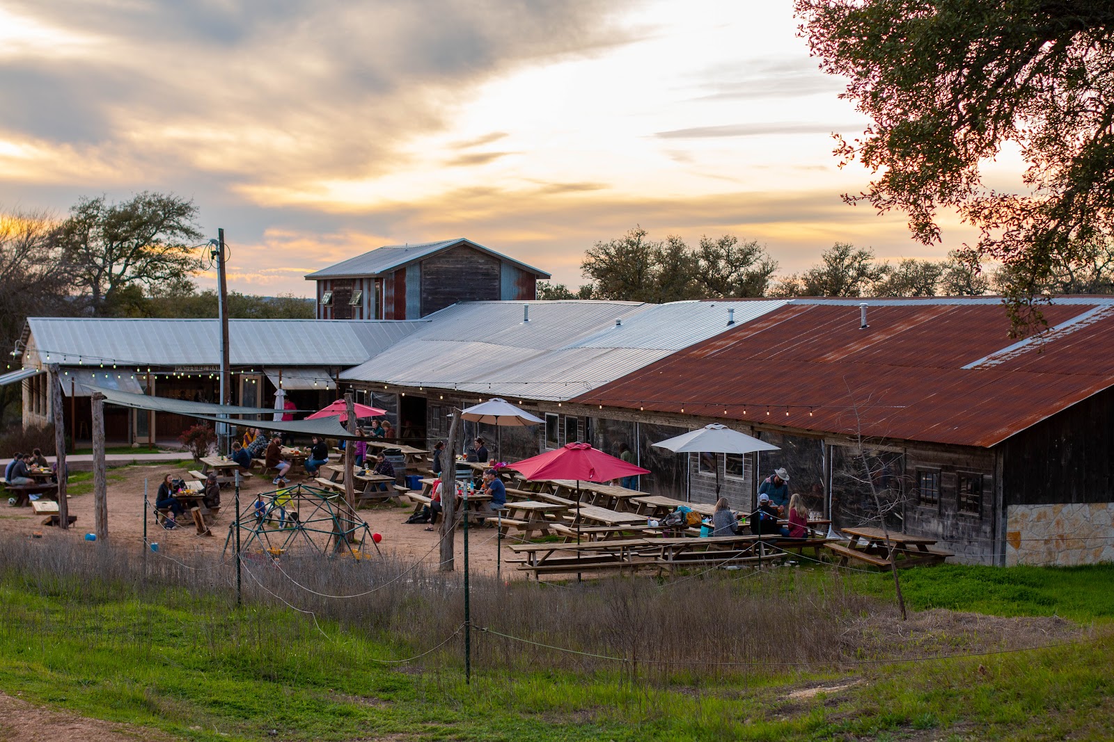 Jester King Brewery