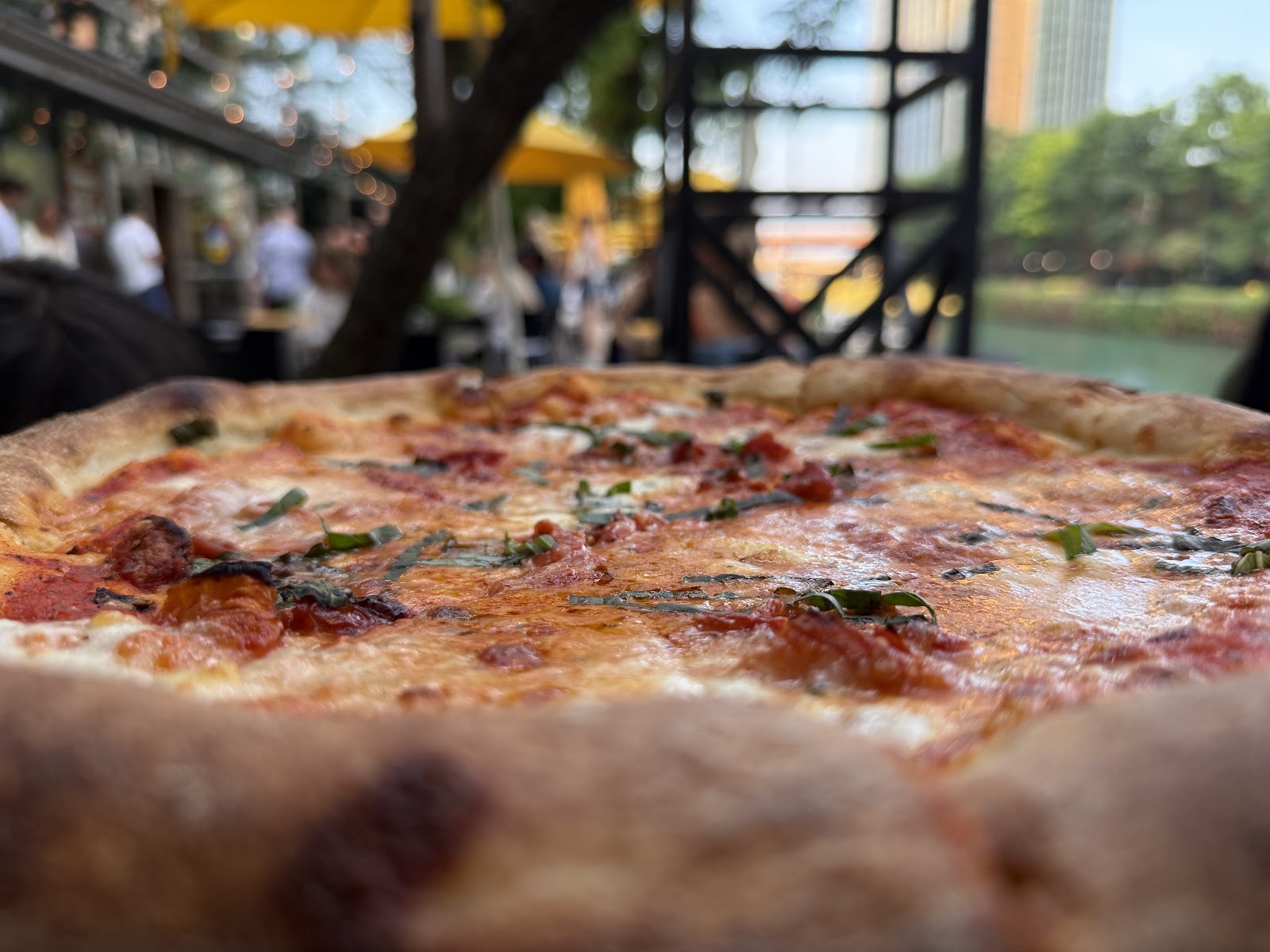 Robert's Pizza and Dough Company