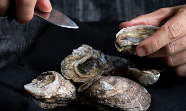 Hugo’s Seafood Bar